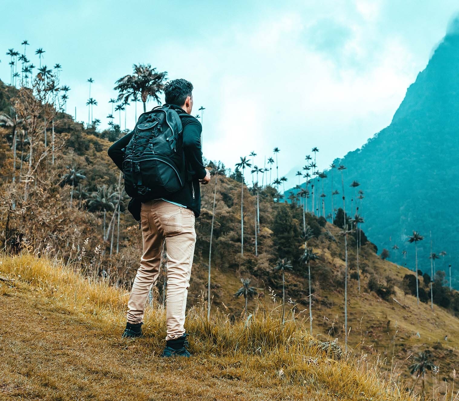 Colombia Trekking Salento