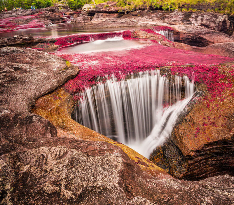 Cano Cristales4 Colombia Reis Atacama Be