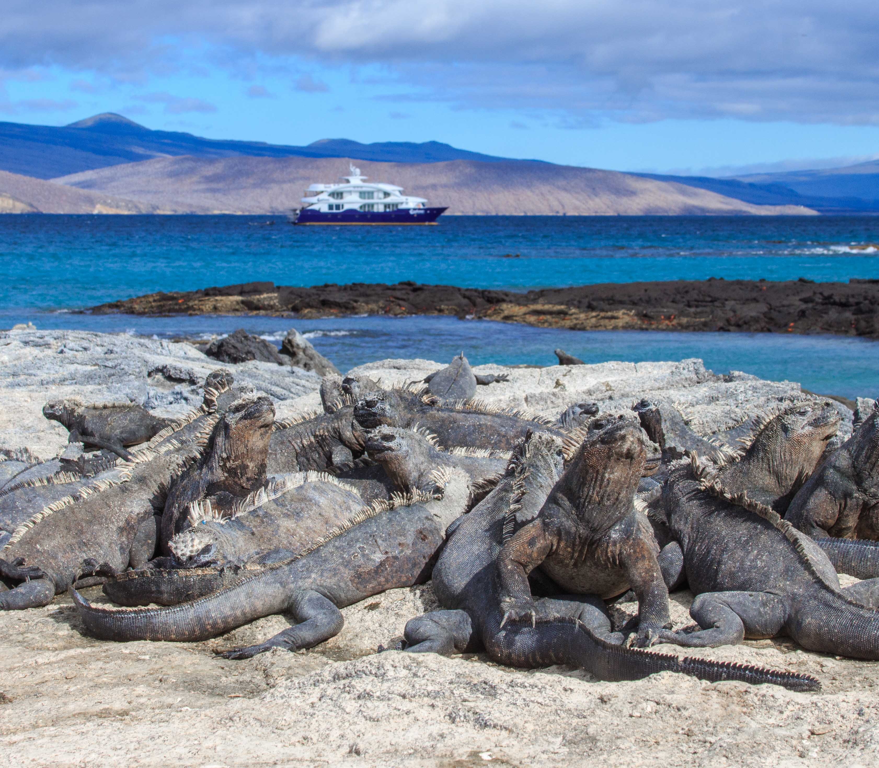 Galapagos Reizen 8 Beleving Atacama Be