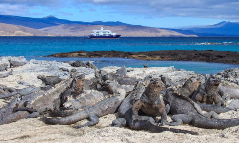 Galapagos Reizen 17 Beleving Atacama
