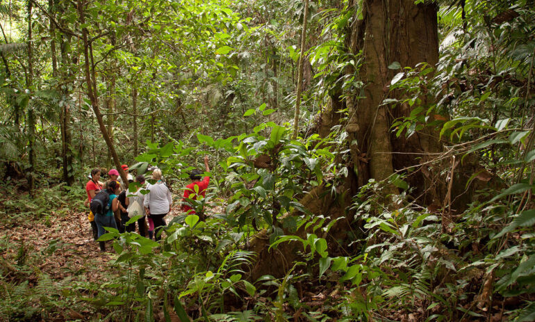 Ecuador Reizen Amazone Yasuni Lodge11