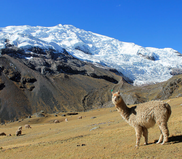Peru Rondreizen Ausangate Trekking Atacama 1