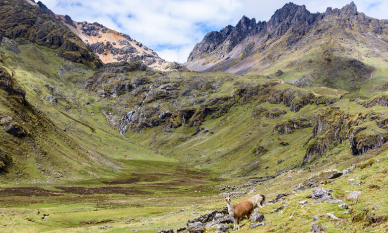Peru Reis Lares Valley Trek
