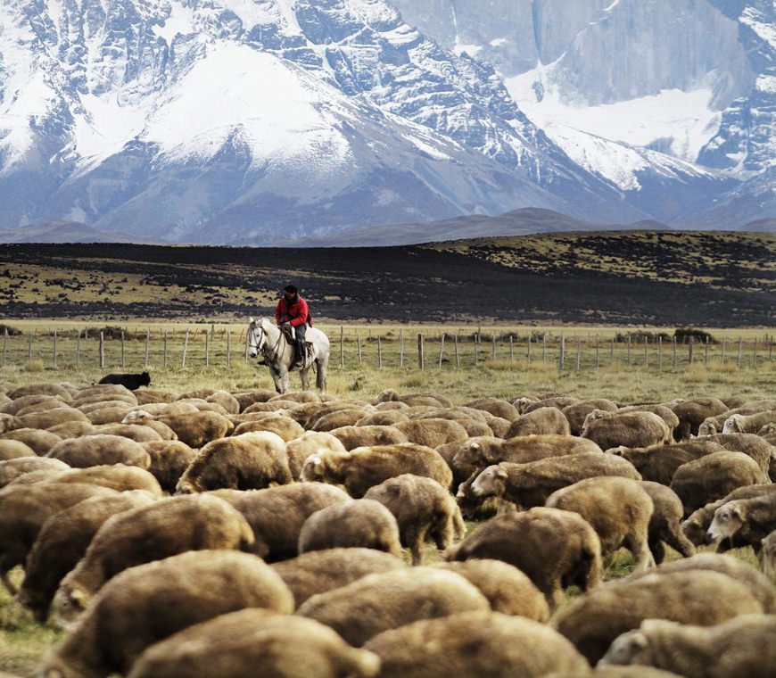 Atacama Patagonia Chili Luxe Reizen Matierra 09 Gaucho