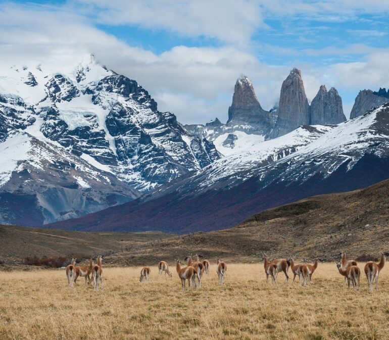 Chili Rondreizen Specialist Patagonie Atacama Paaseiland2