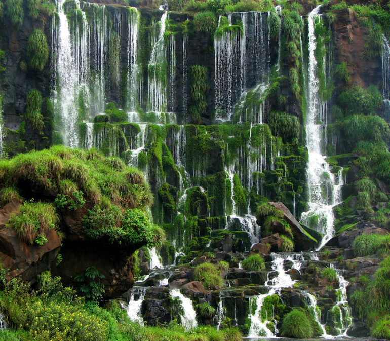 Iguazu Falls Waterval Argentinie Reis 2